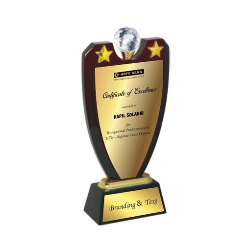 Wood & Metal Trophy WM 9722